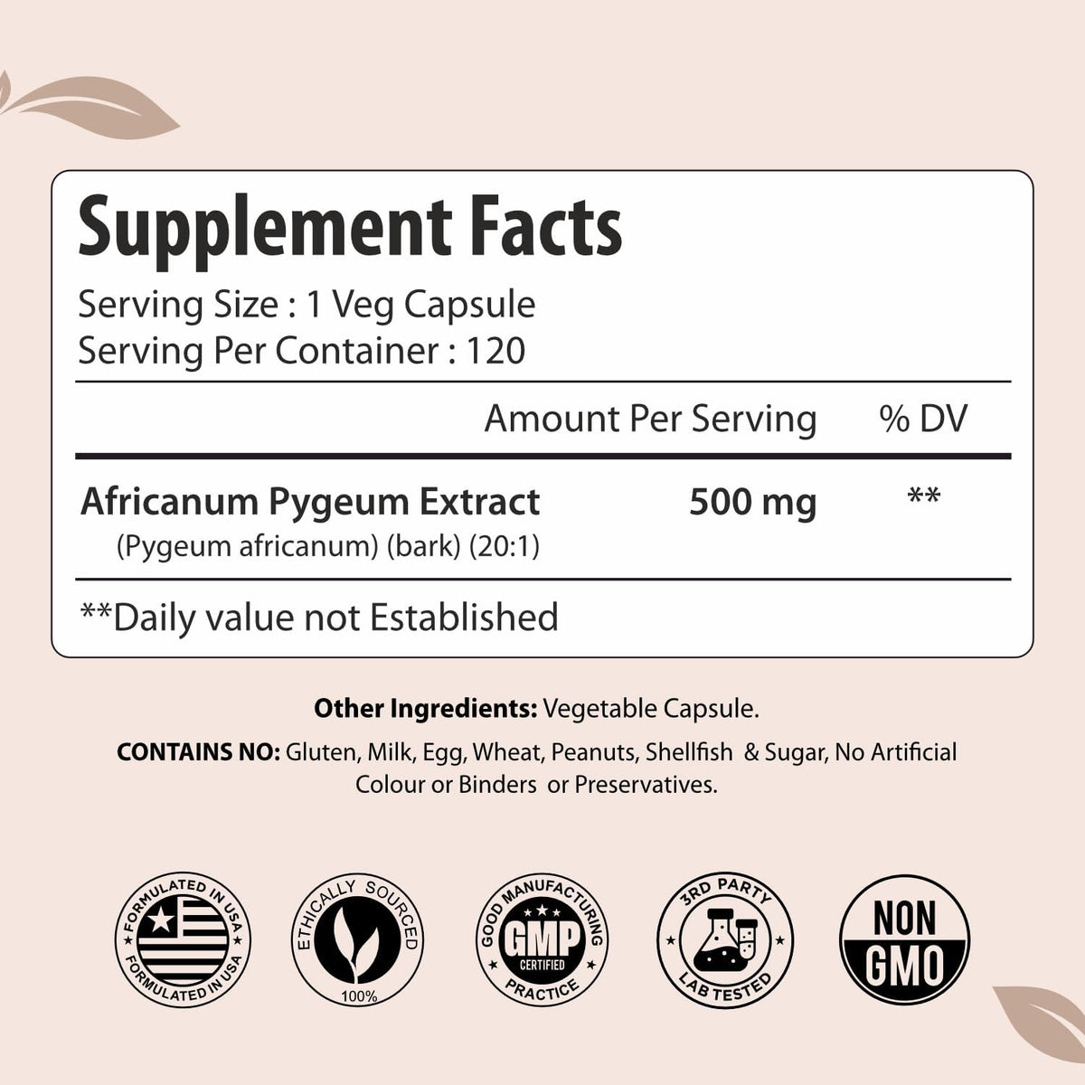 Pygeum Supplement for Men 500mg, Standardized Pygeum Africanum Bark Extract, 120 Vegan Capsules, 4 Month Supply, Non-GMO and Gluten Free Capsules for Men & Women