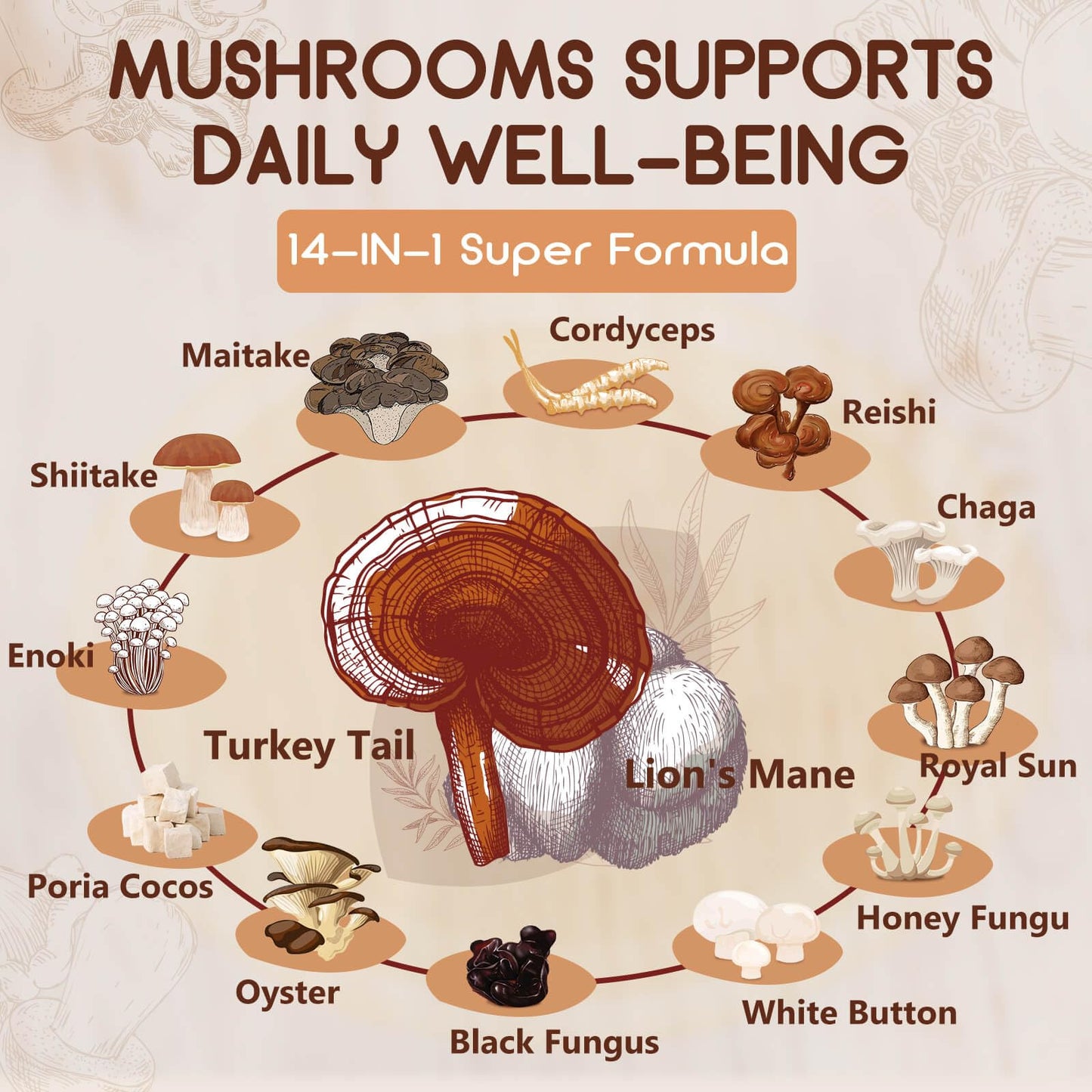 NATURE TARGET 14-in-1 Mushroom Supplement - Mushroom Complex with Lion's Mane, Cordyceps, Reishi & Turkey Tail - Caffeine-Free Energy, Memory & Immune Support - Vegan, 120 Capsules