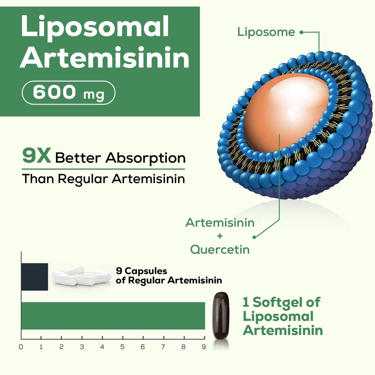 900 mg Liposomal Artemisinin for Maximum Absorption, Sweet Wormwood Extract(Artemisia Annua) with Quercetin Phytosome 200 mg, 120 Softgels