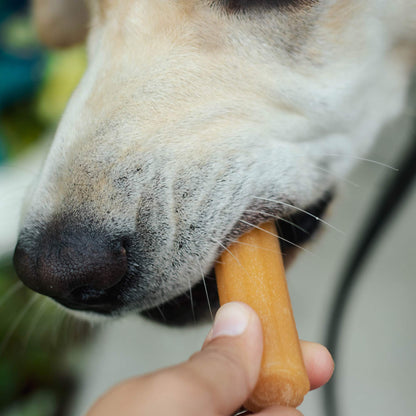 Himalayan Dog Chew Churro, Soft Yak Cheese Treat, Peanut Butter, 4 Sticks | 100% Natural, Soft Density Dental Support, Gluten Free, Healthy Safe Dog Treats for All Breeds and Ages, Lactose & Grain Free