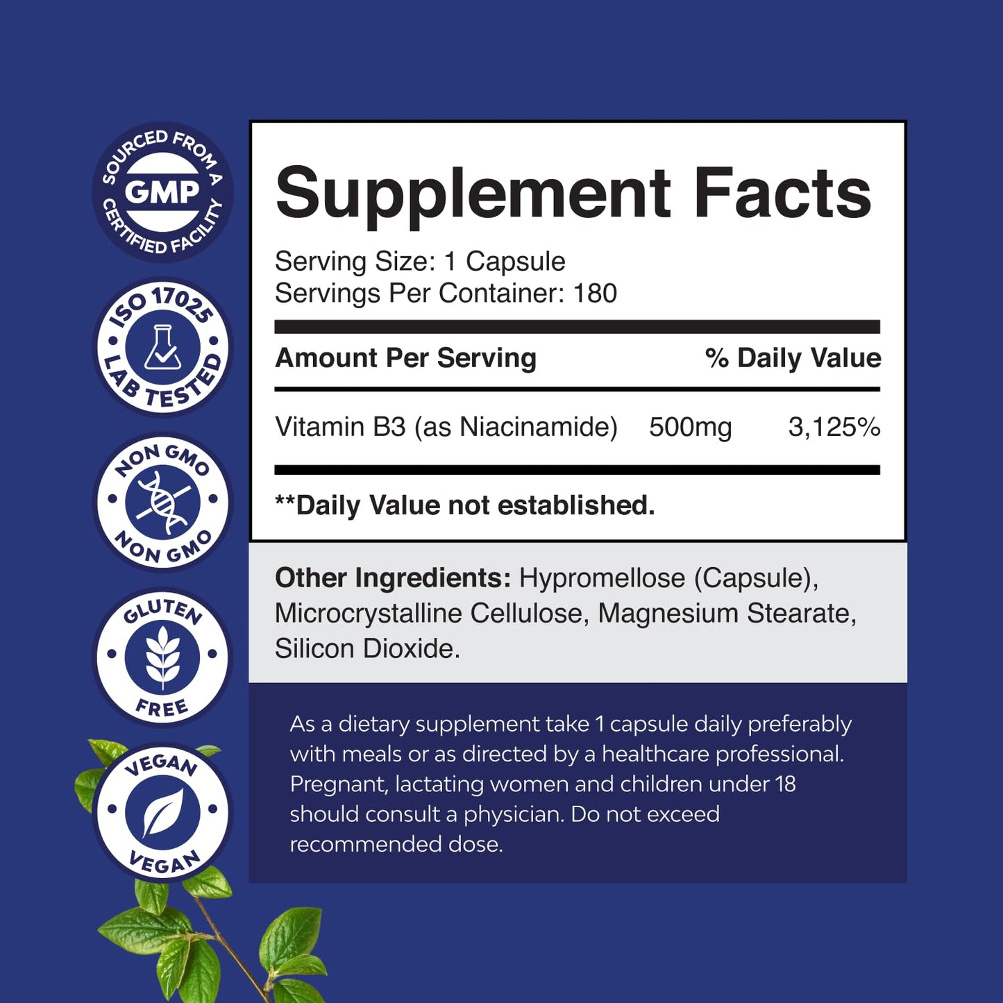 Pure Vitamin B3 Niacinamide 500mg Capsules - Niacinamide (Vit B3) 500mg Flush Free Form of B3 Vitamins for Skin Health Detox & NAD Production Support for Women & Men