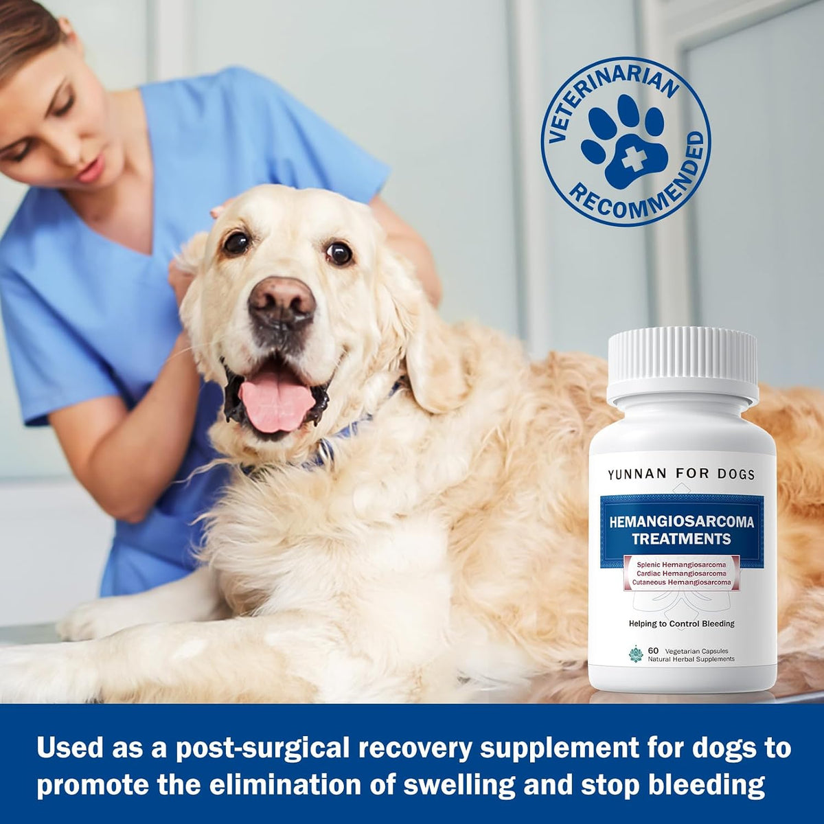 Fast Acting Bleeding Control for Dogs - Yunnan Sanqi Herbal Capsules | Supports Internal Bleeding, Hemangiosarcoma, Nosebleeds, Bloody Stools, Post-Surgical Recovery, 60 Capsules