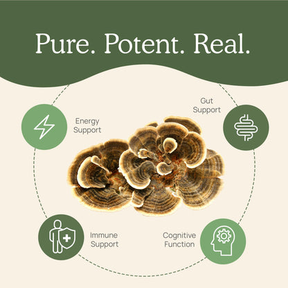 Real Mushrooms Turkey Tail Mushroom Powder – Organic Mushroom Extract for Daily Wellness Gut Harmony, & Energy Support with Beta Glucans – Vegan, Non-GMO, 45 Servings Functional Supplement