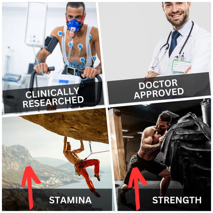 BioImmune Longjack Tongkat Ali Ultra Concentrated Purified Extract Capsules | Strength Muscle Mass, Drive, Performance