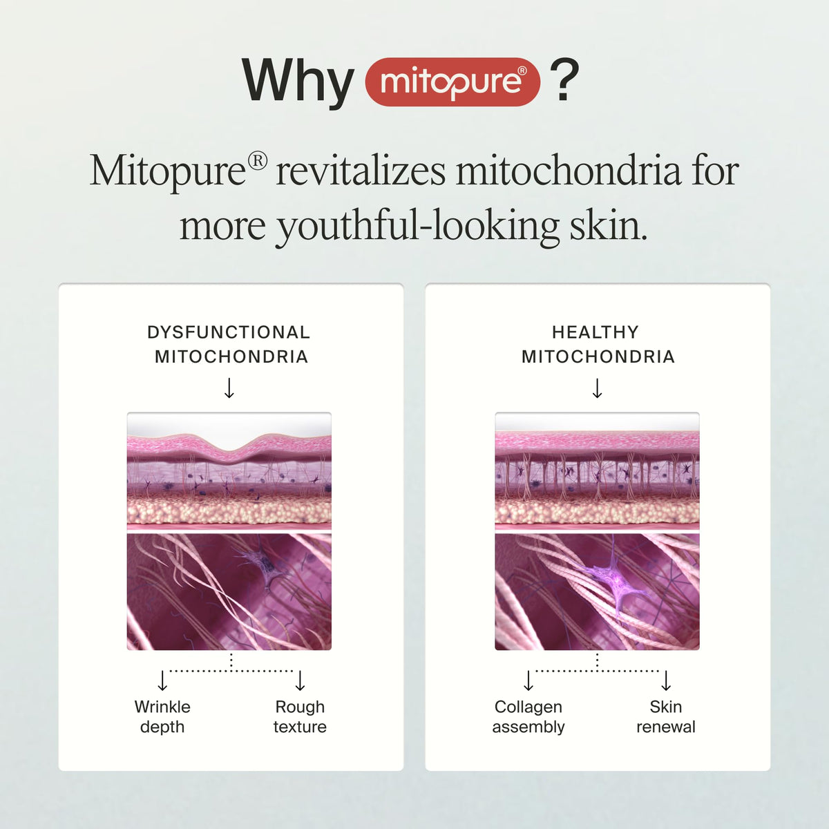 Timeline Mitopure™ Resurfacing Face Exfoliator- with Plant-Based Acids to Purify, Tone, Hydrate, Refine Texture & Unclog Pores - 3.38 Fl Oz