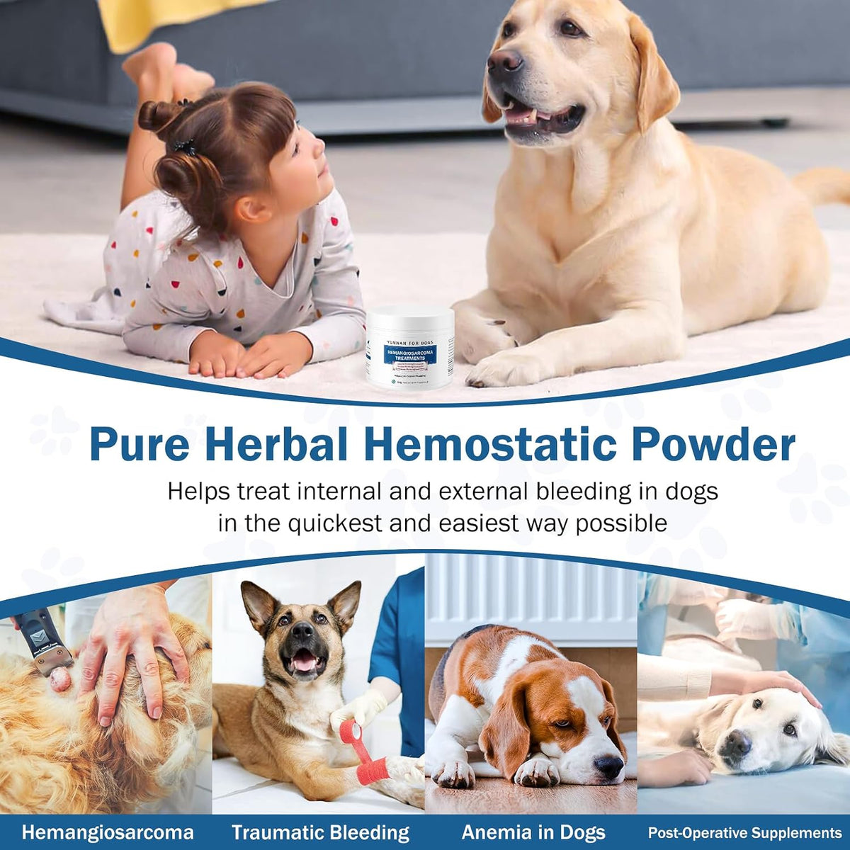 Quick Stop Bleeding for Dogs, Natural Yunnan Sanqi & Herbal Powder | Supports Internal Bleeding, Hemangiosarcoma, Bloody Stools, Post-Surgical Recovery, Ulcers, Severe Bruising, 60g