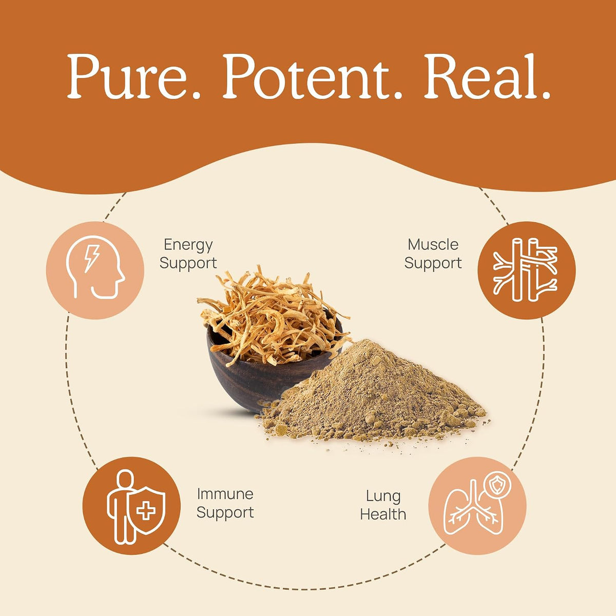 Lions Mane (60g) and Cordyceps (60g) Mushroom Extract Powder Bundle - Mushroom Supplement for Cognition, Energy and Endurance