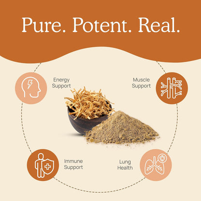 Lions Mane (60g) and Cordyceps (60g) Mushroom Extract Powder Bundle - Mushroom Supplement for Cognition, Energy and Endurance
