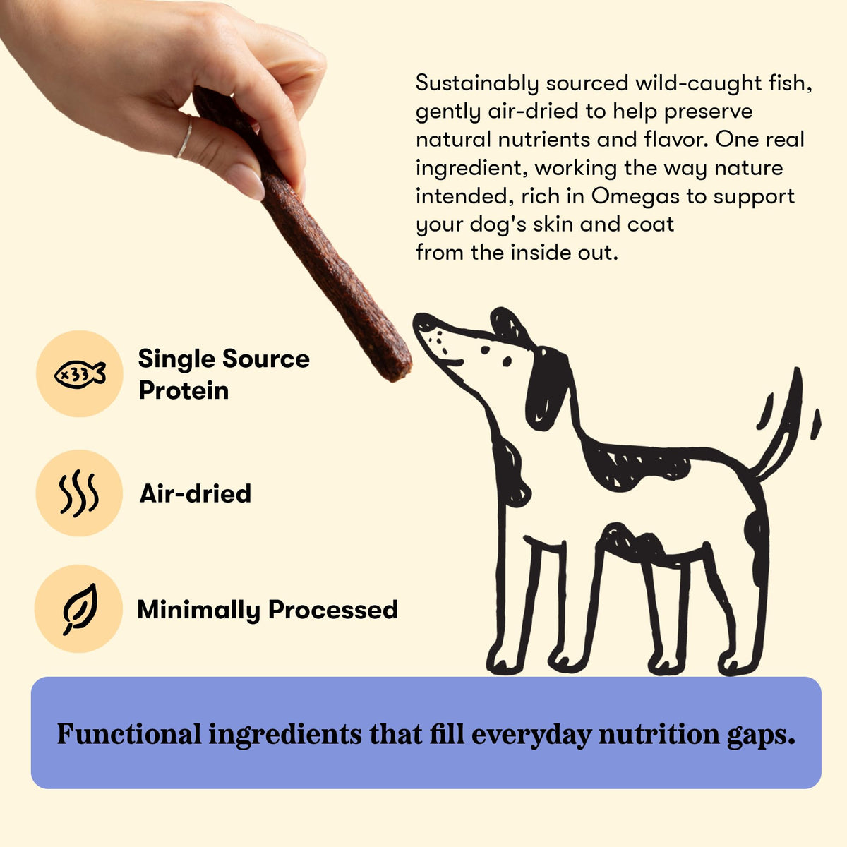 Plato Meat Sticks Salmon Dog Treats, Air-Dried High-Protein Soft Chews with Omega Fish Oil (EPA & DHA), 10 oz