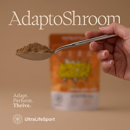 Ultra Life Sport - MushBoom Organic Mushroom Coffee Alternative Drink - 30 Servings 7 Mushroom Cacao Blend - Cordyceps, Lion’s Mane, Chaga, Maitake, Shiitake, Reishi & Turkey Tail - Caffeine Free