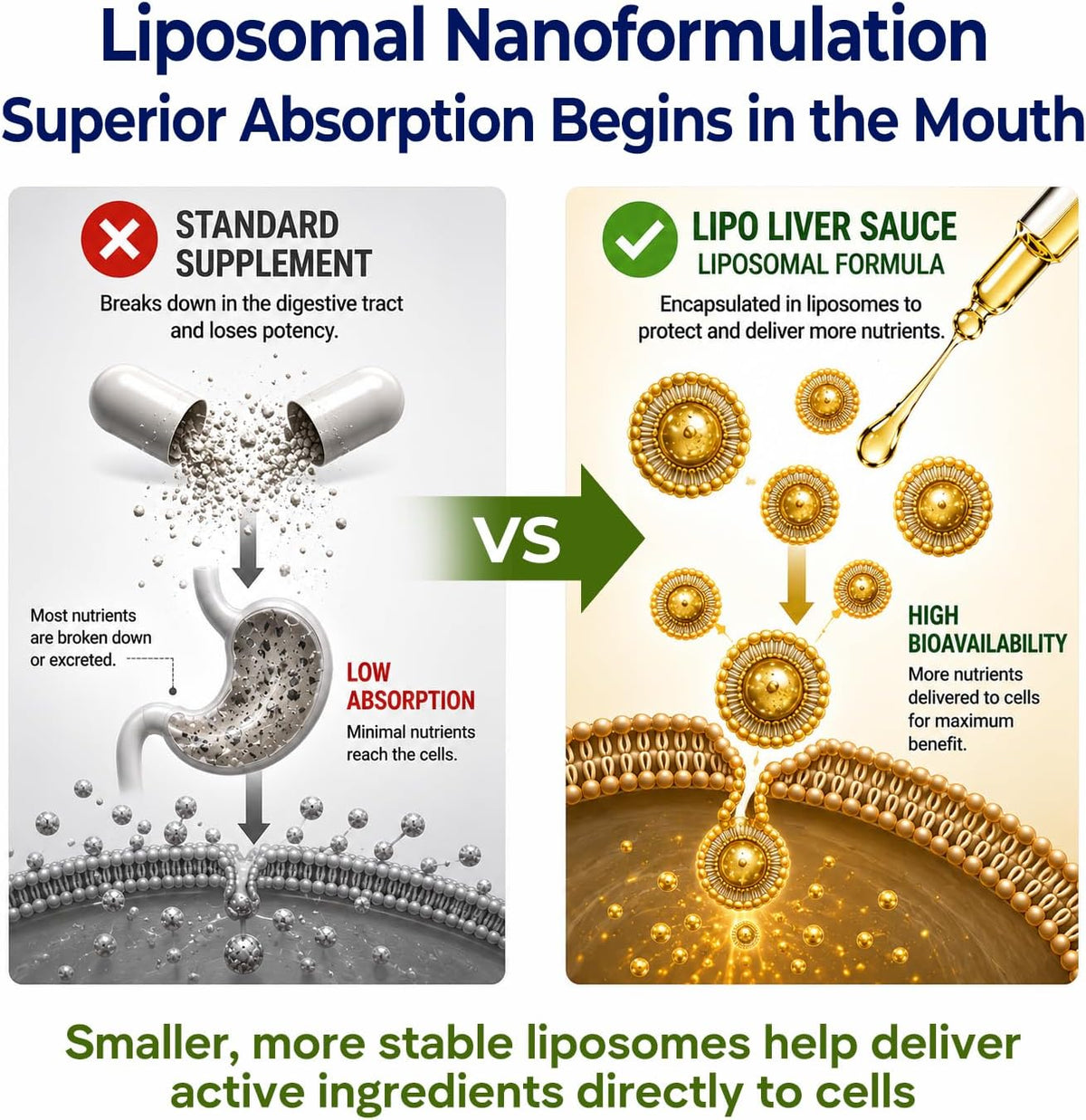 Lipo Liver Sauce - Liposomal Liver Cleanse & Detox Support Liquid with Milk Thistle, Dandelion, R-Lipoic Acid, DIM & Quercetin | Supports Bile Flow, Digestion & Liver Health | Highly Bioavailable