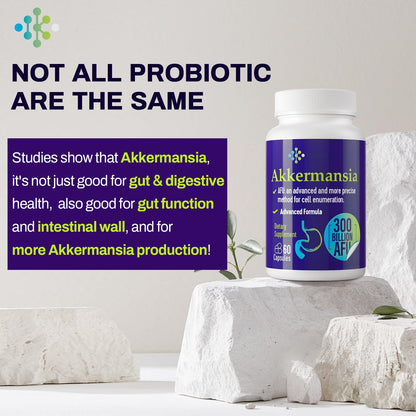 Wedkoup 300 Billion AFU Akkermansia Probiotic for Women & Men, Akkermansia Muciniphila for More Akkermansia Production, Digestive, Gut & Immune, Gut Digestive Lining Function, 240 Count
