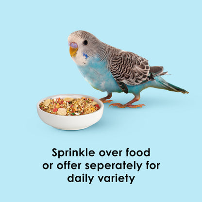 Kaytee Oat Groats Treat Jar for Pet Birds, 11 Ounces | More bird food variety. Crunchy bird treats. Easy to serve, protein source, parakeet treats