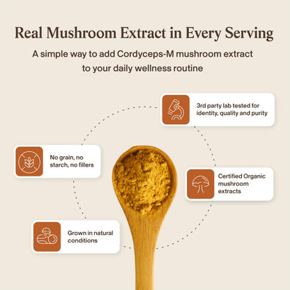 Real Mushrooms Supplement Capsules - Cordyceps Mushroom Powder Rich in Beta Glucans - Mushroom Pills Cordyceps for Energy and Performance - Vegan, Non-GMO, No Grain Fillers, 120 ct