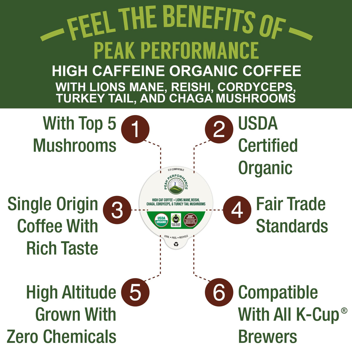 Organic Mushroom Coffee Pods with Lion's Mane, Reishi, Cordyceps, Turkey Tail, and Chaga Mushrooms. High Altitude, Low Acid, Smooth Tasting, Fair Trade, Instant Nootropic Coffee (Medium Roast Ground)
