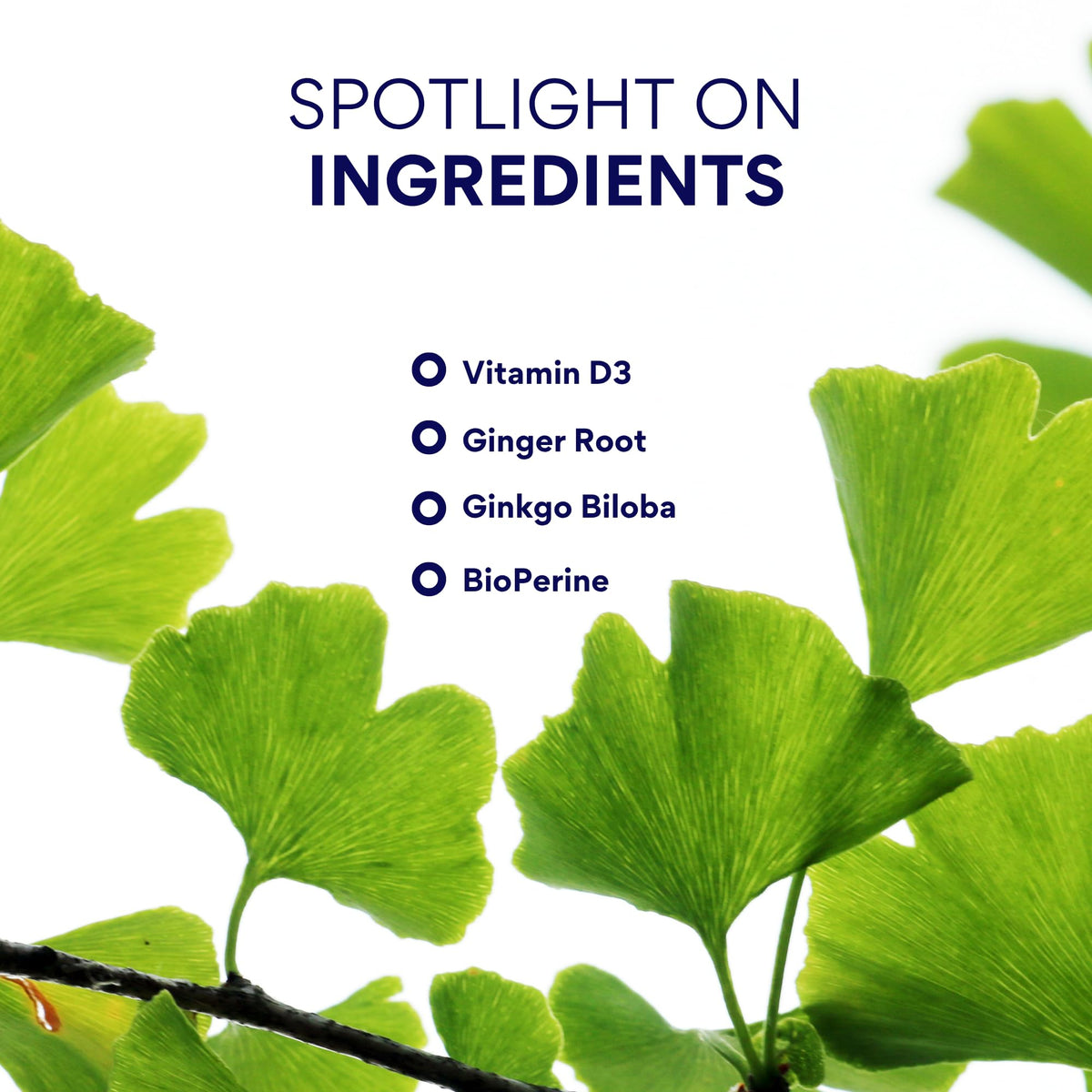 Research Verified Vertigo Defense - Soothe Symptoms and Support Inner Ear Balance - Vitamin D3, Ginger, Ginkgo Biloba, BioPerine - 60 Capsules