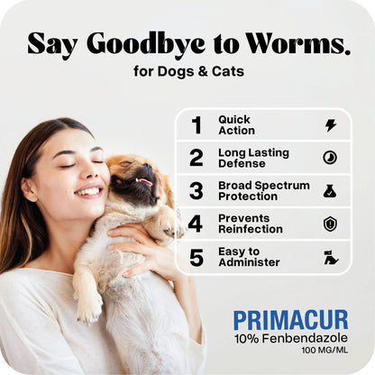 vetr Primacur Broad-Spectrum Oral Suspension Support Formula 10% Oral Suspension for Dogs and Cats - 240ML/8.1oz - Bacon Flavor