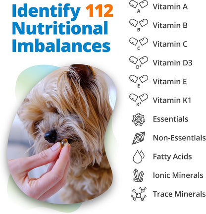 5Strands Pet Nutritional Imbalance Test, Health Assessment for Dogs & Cats