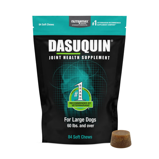 Nutramax Dasuquin for Large Dogs, Joint Health Supplement, Contains Glucosamine for Dogs, Plus Chondroitin, ASU and More, Supports Healthy Joints, Soft Chews, 84 Count Nutramax LaboratoriesBuy Supplements Australia