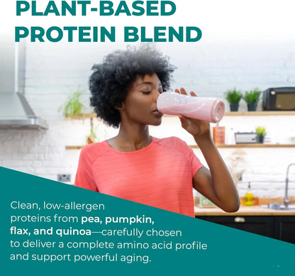 Reignite Wellness by JJ Virgin | Vanilla Plant-Based All-in-One Shake | New & Improved Formula Plant Protein Powder, Vitamins, Minerals, Greens & Aminos | 20g of Plant Protein | 30 Servings