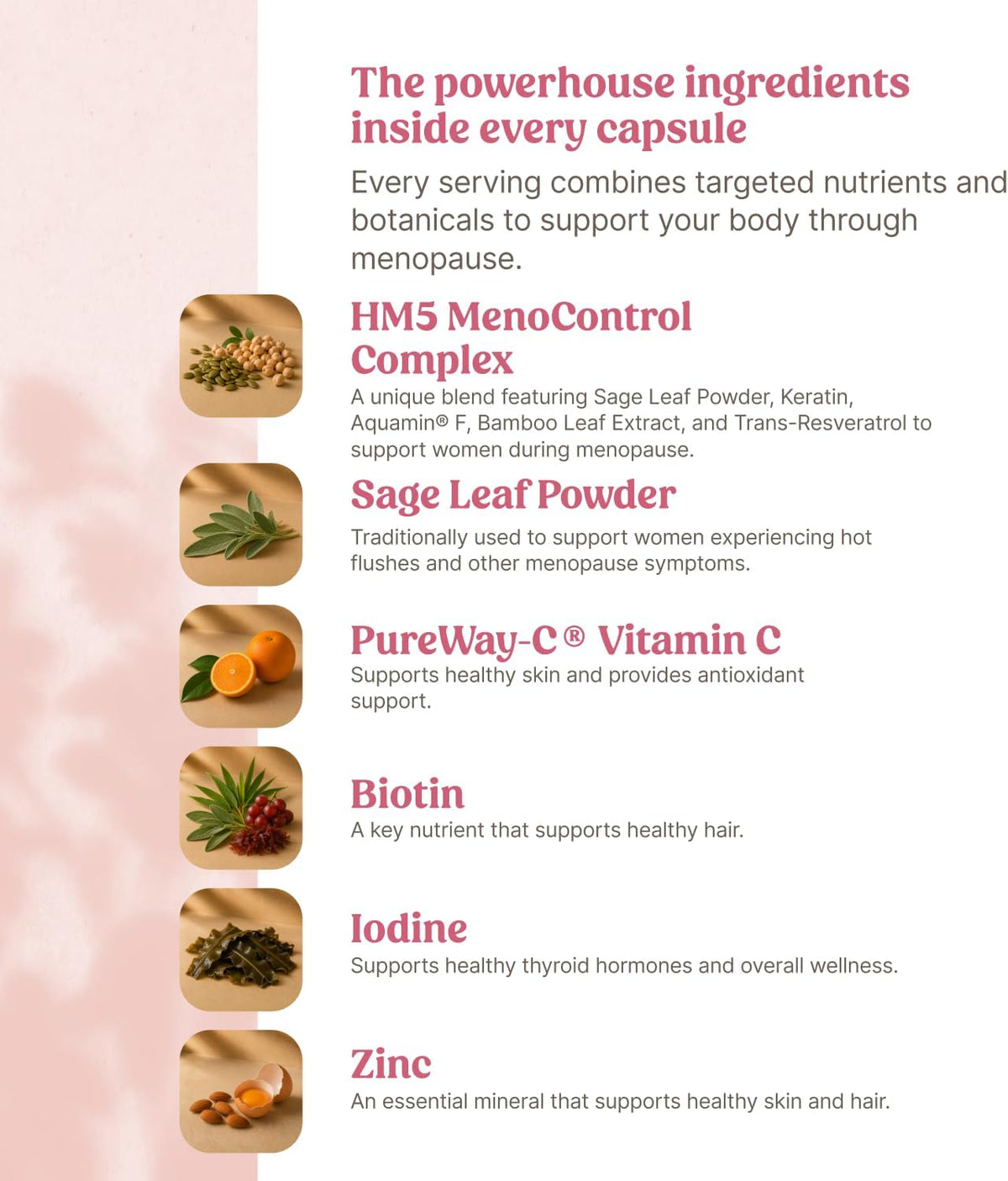Happy Mammoth MenoDaily for Menopause, Hair, Skin, and Metabolism