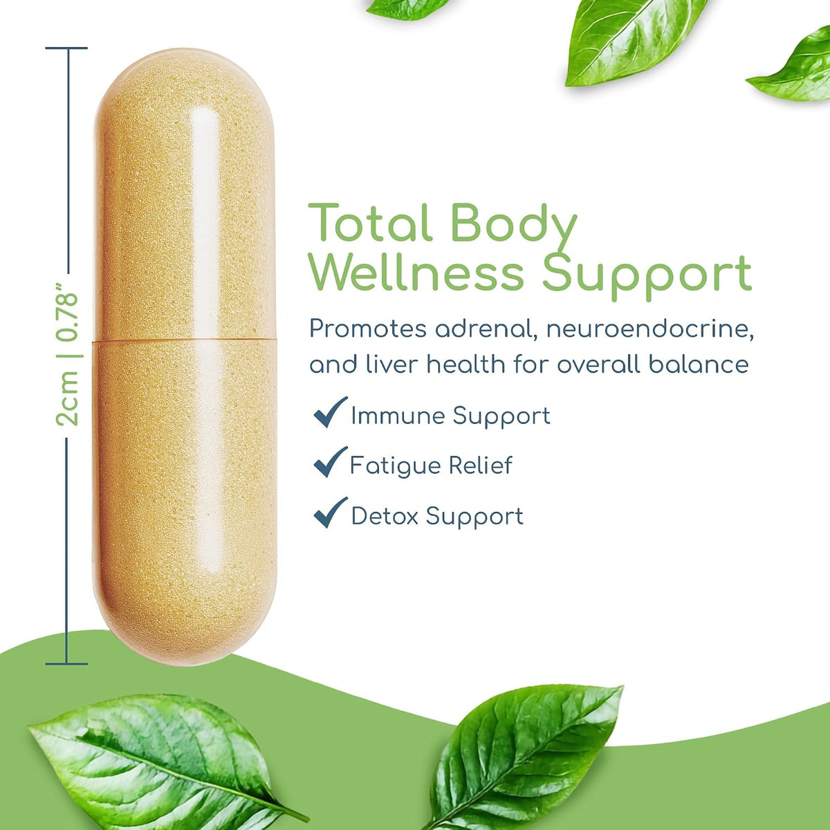 Foundation Formula | Tick Immune Support Supplement | with Japanese Knotweed Root, Cat's Claw, Milk Thistle | Resveratrol Supplement | Non-GMO, All-Natural & Vegetarian, 270 Capsules