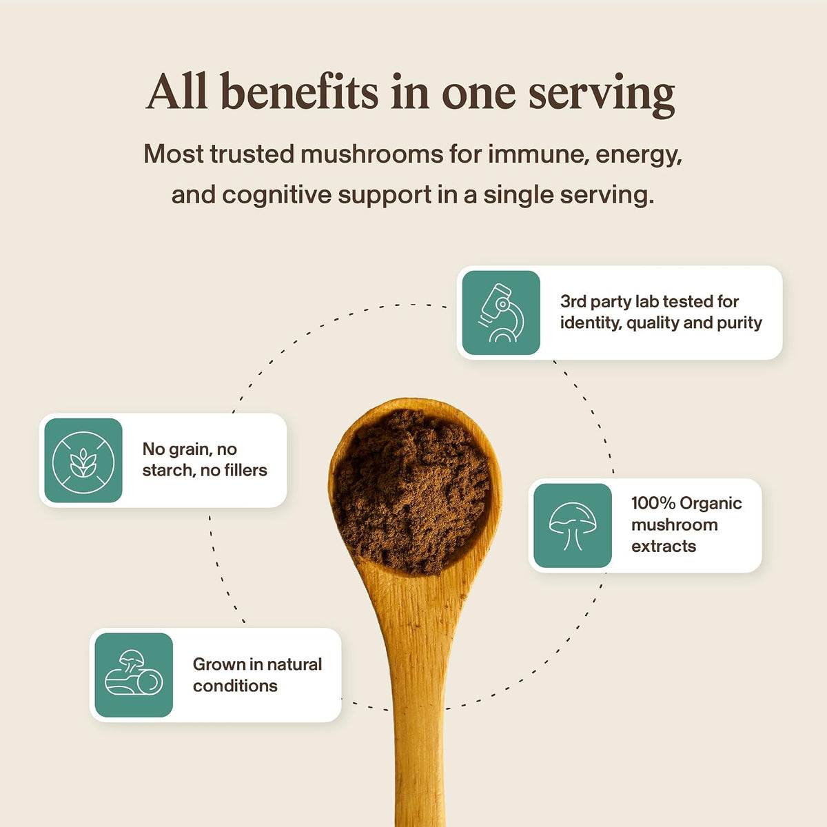 Real Mushrooms 5 Defenders Mushroom Complex - Functional Mushrooms Extract from Chaga, Shiitake, Maitake, Reishi, Turkey Tail Mushroom Blend for Wellness Support with Beta Glucans - 45 Servings