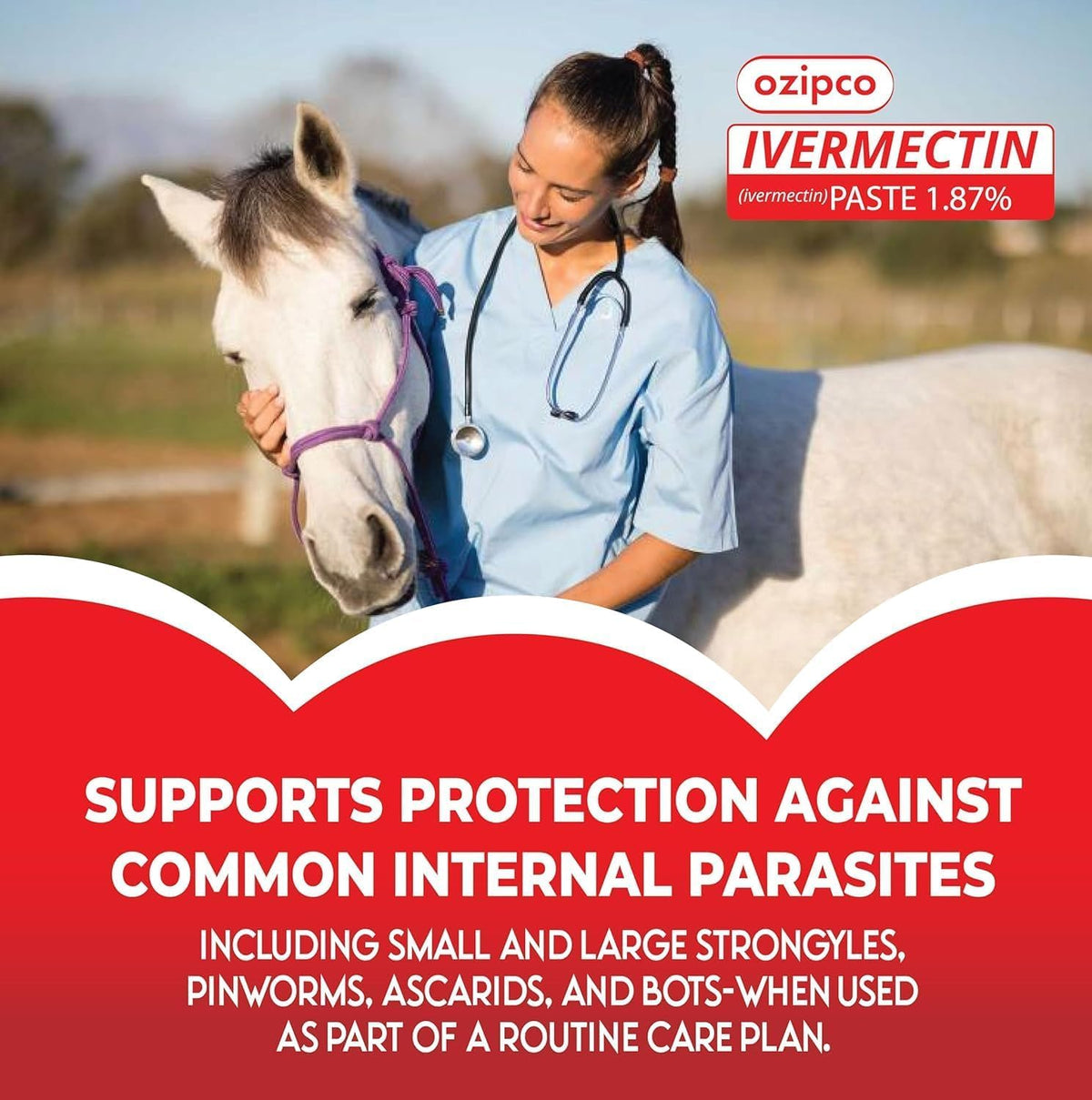 Ivermectin Horse Paste 1.87% | Apple Flavor – 6.08g Syringe for Equine Use Only Up to 1250 LB
