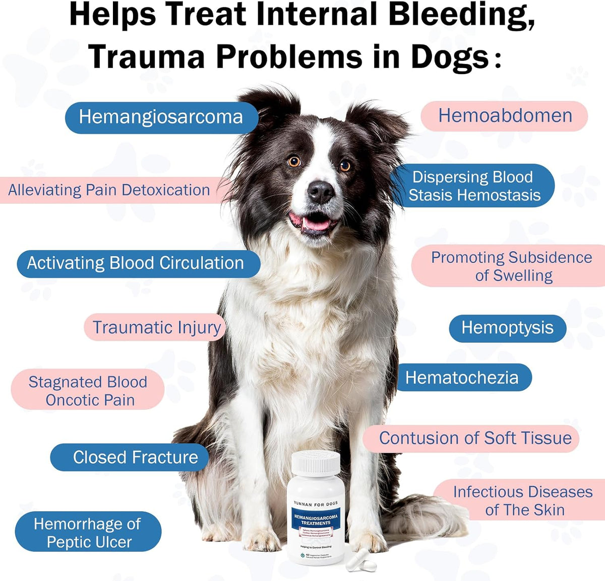 Fast Acting Bleeding Control for Dogs - Yunnan Sanqi Herbal Capsules | Supports Internal Bleeding, Hemangiosarcoma, Nosebleeds, Bloody Stools, Post-Surgical Recovery, 60 Capsules