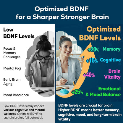 Nootropic Brain Supplement for Memory and Focus – BDNF Optimizer – Cognitive, Mental Clarity & Mood – High Absorption – Organic Lion's Mane, L-Theanine, Ginkgo Biloba & Alpha GPC – 60 Tablets