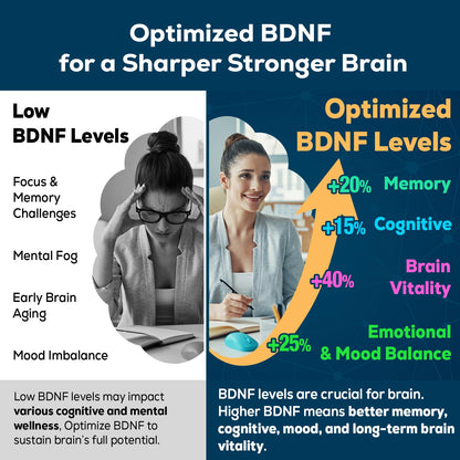 Nootropic Brain Supplement for Memory and Focus – BDNF Optimizer – Cognitive, Mental Clarity & Mood – High Absorption – Organic Lion's Mane, L-Theanine, Ginkgo Biloba & Alpha GPC – 60 Tablets