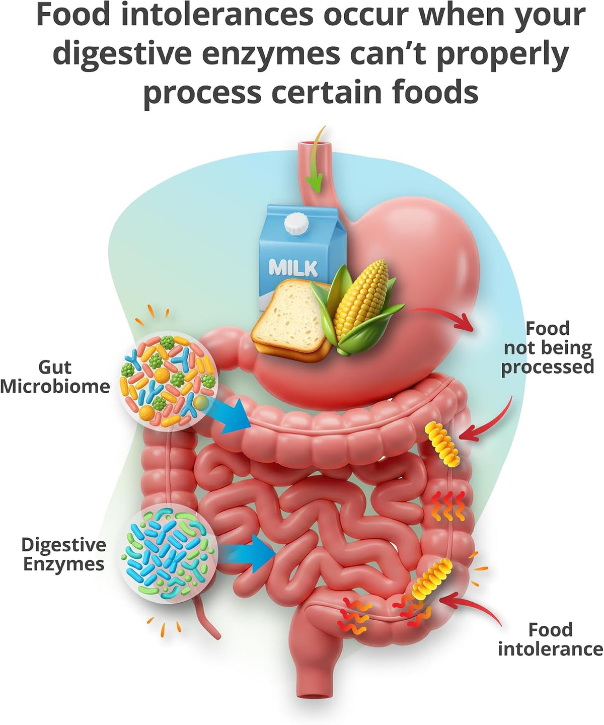 5Strands Food Intolerance & Vitamins & Minerals Imbalance Test, at Home Hair Analysis for Adults & Kids, Identify Digestive Stress & Nutrient Absorption Gaps, Results in 4 Days
