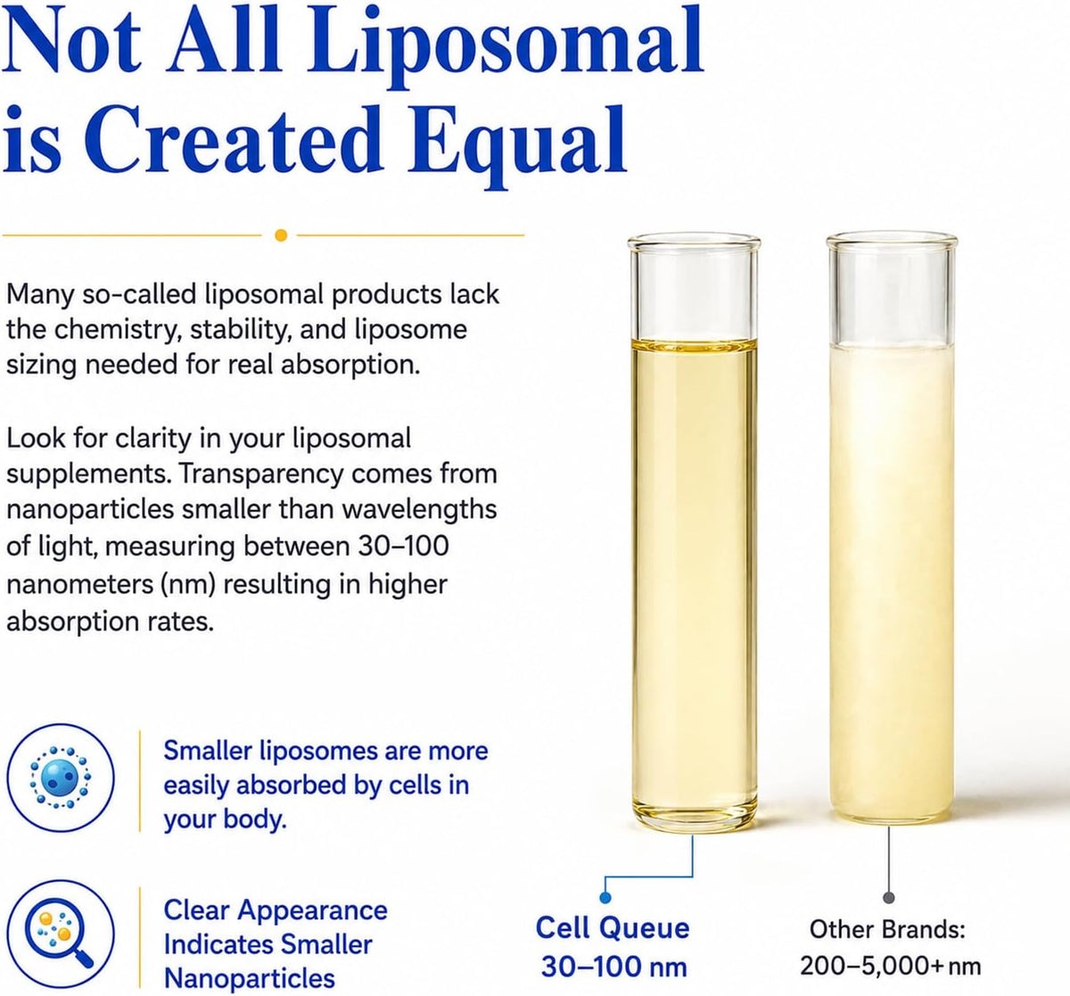 Liposomal Vitamin C Liquid 500mg - High Absorption Vitamin C Supplement for Immune Support, Collagen Production & Antioxidant Protection, Skin Glow, Gentle on Stomach, Non-GMO, 1.7 fl oz