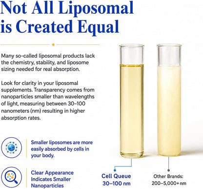 Liposomal Vitamin C Liquid 500mg - High Absorption Vitamin C Supplement for Immune Support, Collagen Production & Antioxidant Protection, Skin Glow, Gentle on Stomach, Non-GMO, 1.7 fl oz