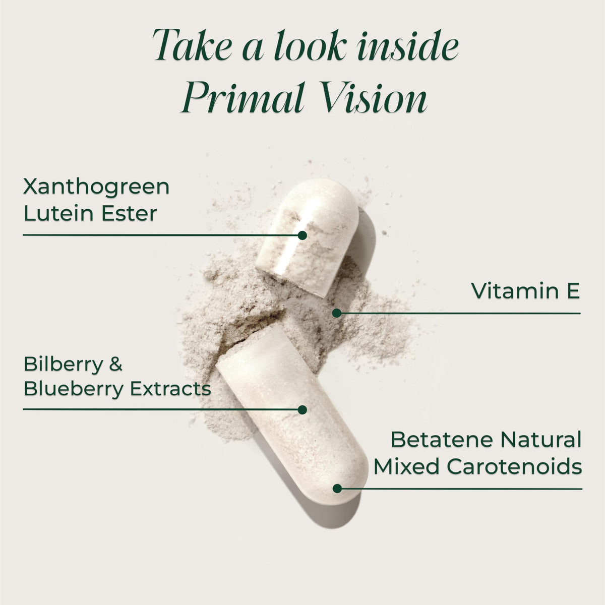 Primal Harvest Vision – Daily Vegetarian Friendly Supplement, Gluten & Dairy Free