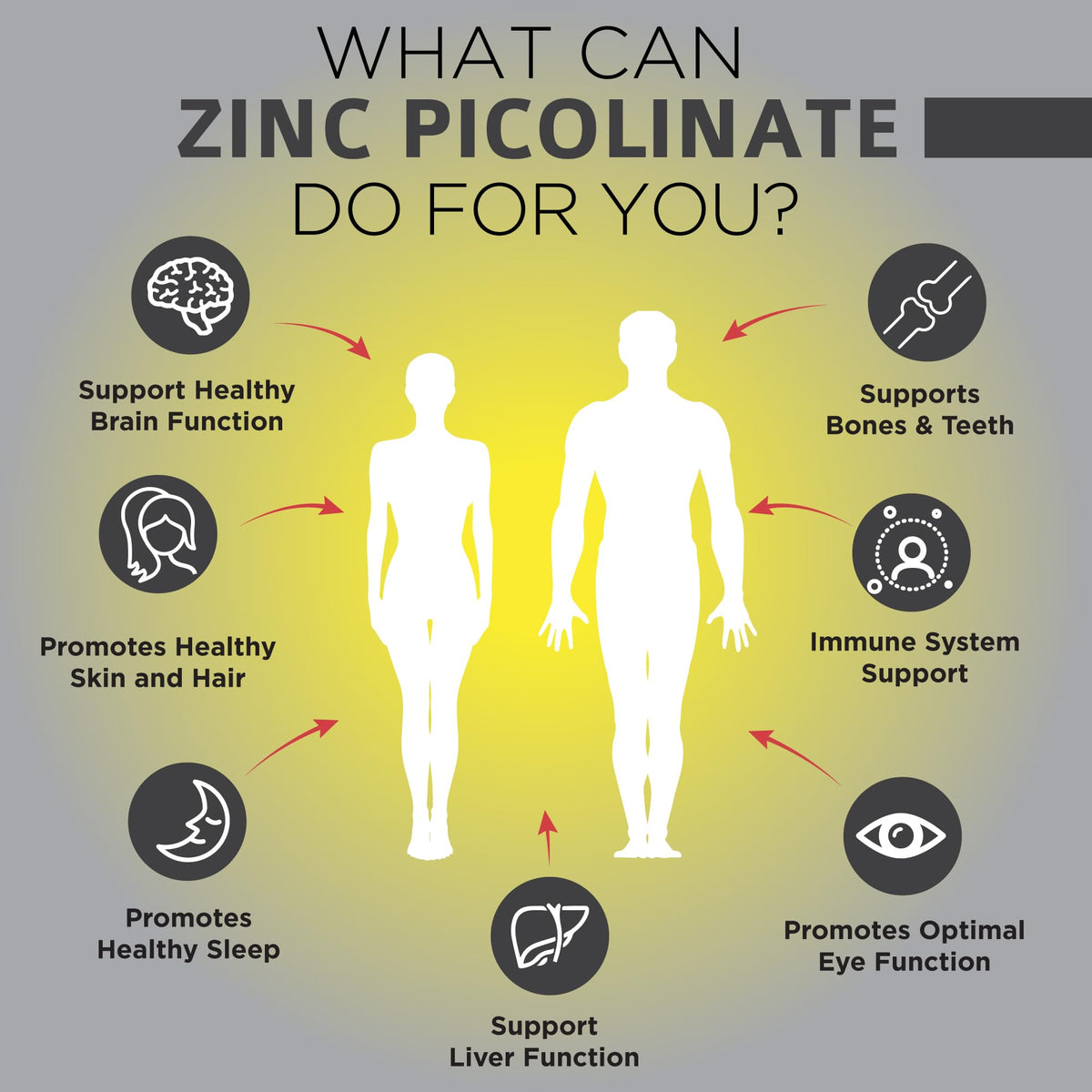 OmniBiotics Zinc Picolinate 30mg Supplement – High Absorption Zinc for Immune System, Healthy Skin, and Energy Support – 180 Vegan Capsules