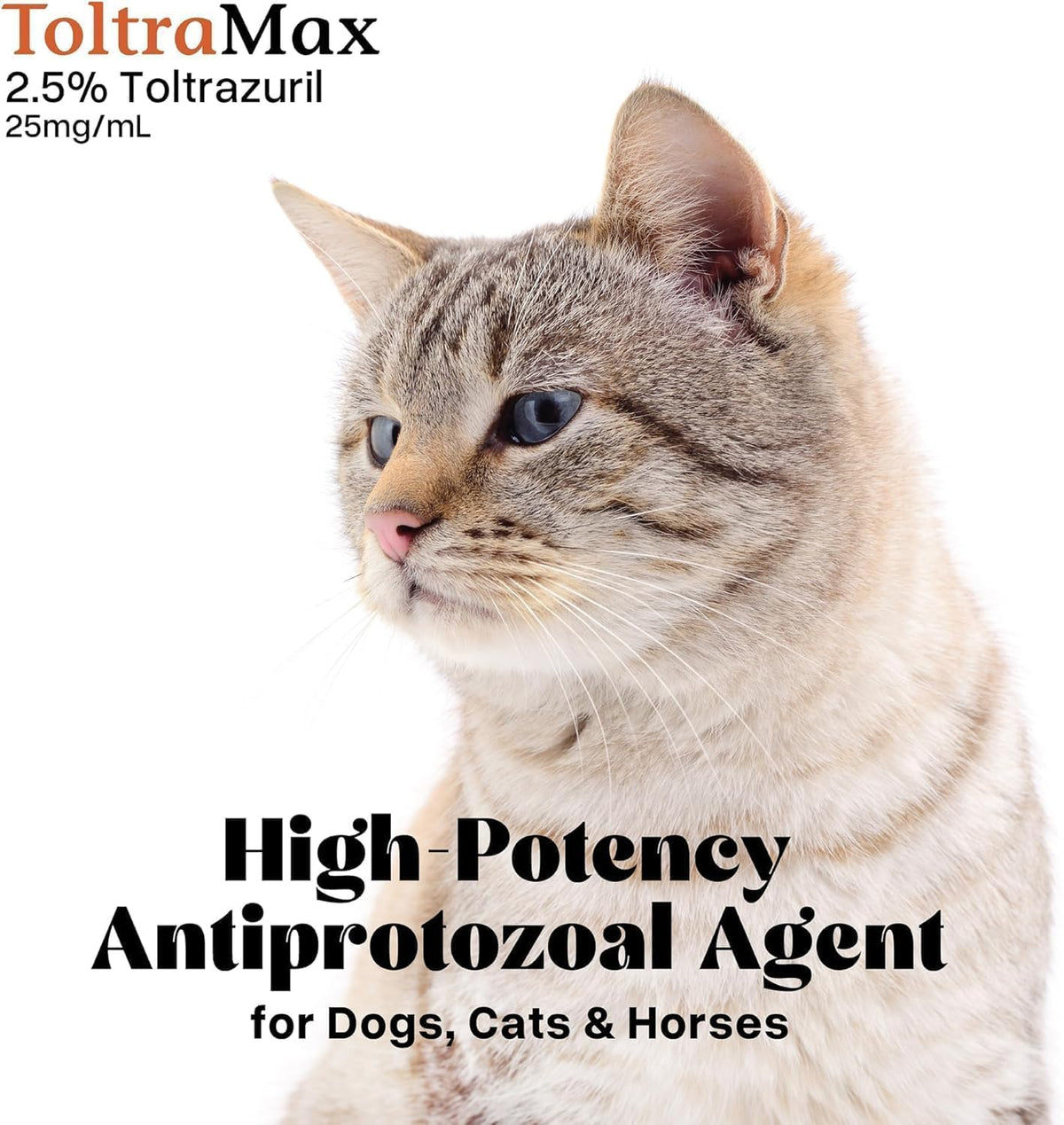 Toltrazuril 2.5% for Horses, Dogs, Cats, 60mL/2 Ounce, for Non-Food Chain Animals, Peanut Butter