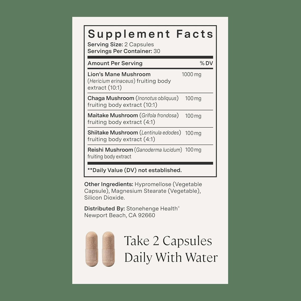 Stonehenge Health Dynamic Brain + Dynamic Mushrooms Bundle Memory Acquisition, Retention, & Recall with 40 Unique Nootropic Brain & Immune System Support