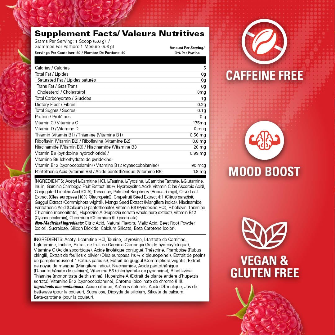 EHP Labs OxyShred Non Stimulant Pre Workout Powder - Stim Free Pre Workout, Caffeine Free Preworkout for Men & Women with L Glutamine & Acetyl L Carnitine - Peach, 60 Servings