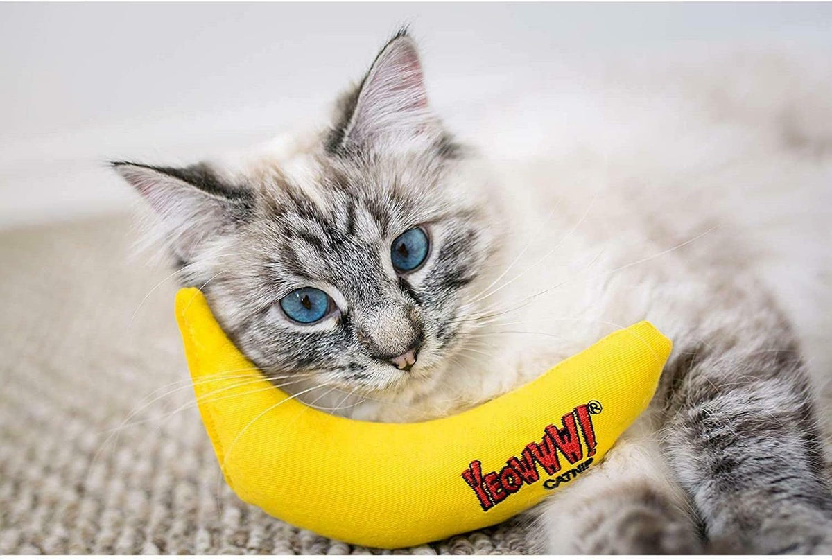 YEOWWW! DuckyWorld 100% ORGANIC CATNIP Leaf & Flower Cat Toy BANANA 3 PACK