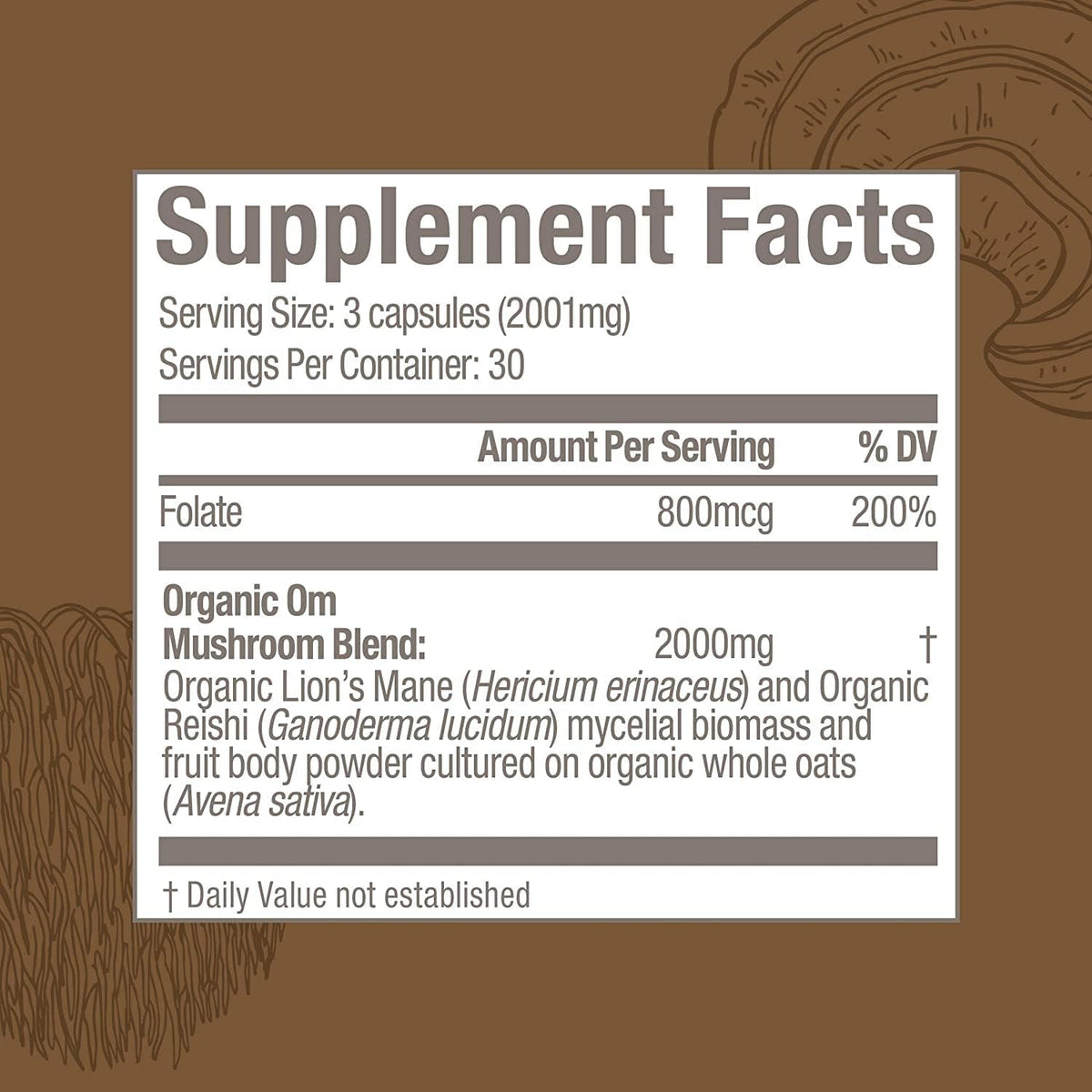 OM MUSHROOM SUPERFOOD Brain Fuel Mushroom Powder Capsules Superfood Supplement, 90 Count, 30 Days, Lion's Mane, Reishi Blend Plus Folate, Mental Clarity, Mushroom Supplement