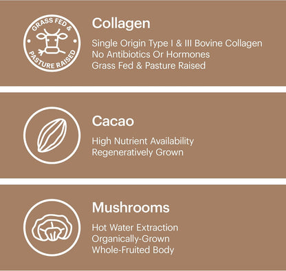Wellthy Collagen Superfood Powder, Fights Stress & Fatigue, Cacao, Mushroom Powder - Organic Chaga & Reishi Extracts, Certified Organic Matcha, Allergen-Free & Non-GMO