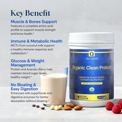 Organic Vegan Protein Powder - 20g Plant Based Protein for Women and Men, with Pea Protein, Superfood & Digestive Enzymes - Clean Protein, Gluten-Free, Gut-Friendly & Non-Bloating, Keto