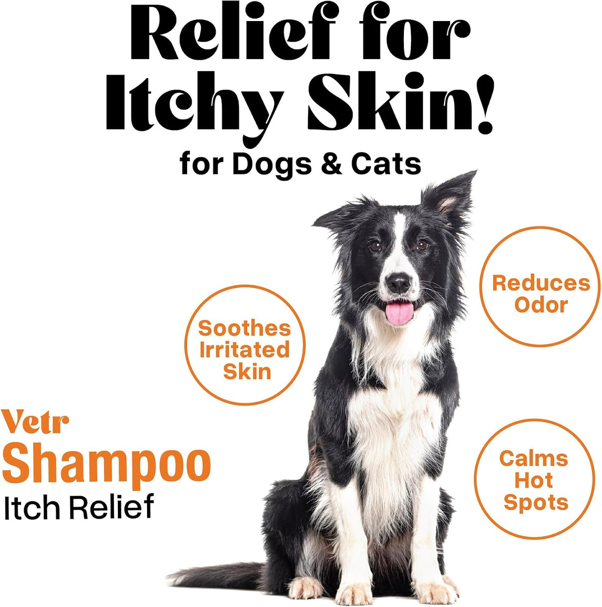 Vetr Sensitive Skin Pet Shampoo, 16 oz - Unscented, Tear-Free, Hypoallergenic, Gentle