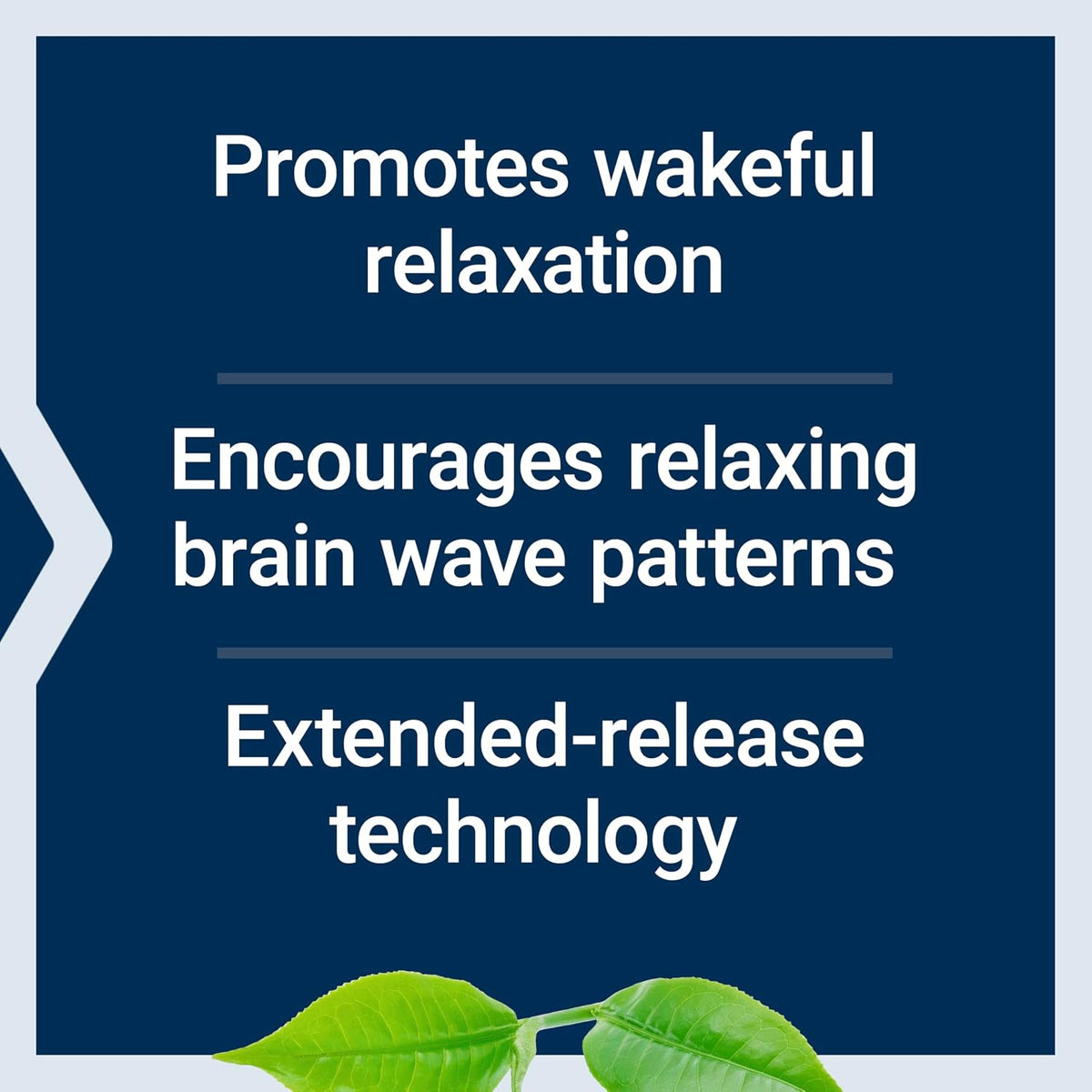 Life Extension Theanine XR™ Stress Relief – L-Theanine – Promotes a Calm Response to Daytime Stress – Non-GMO, Gluten-Free, Vegetarian – 30 Tablets