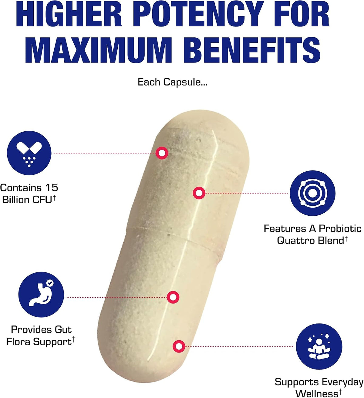 Advanced Digestive Probiotics for Women & Men - 4 in 1 Quadbiotic for Women & Men with Lactobacillus and Bifidobacterium Probiotics for Digestive Health Bloating and Constipation - 50 Servings