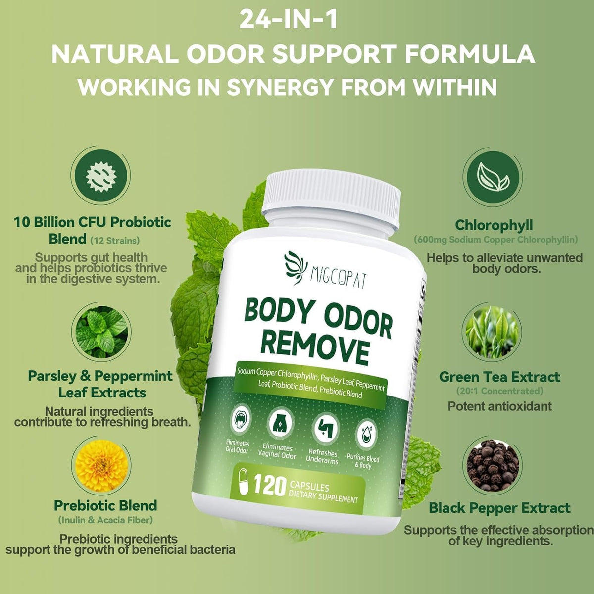 Chlorophyll Body Deodorizing Supplement, Chlorophyll Capsules with Parsley & Peppermint, Probiotic, Green Tea, Jerusalem Artichoke, Prebiotic, Supports Fresh Breath & Whole-Body Freshness, 120 Caps