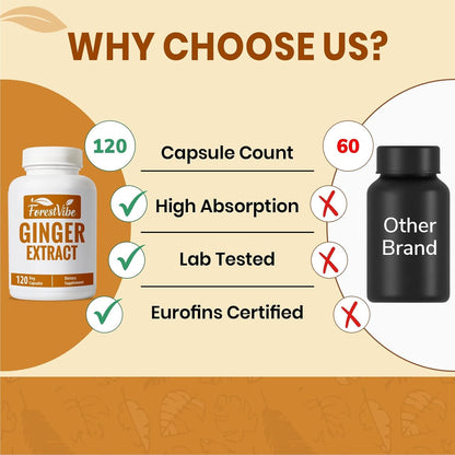 Ginger Root Capsules 1000mg, Potent Ginger Extract Powder, 120 Vegan Capsules, 2 Month Supply, Non-GMO and Gluten Free Ginger Supplement