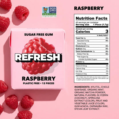 Refresh Sugar Free Chewing Gum with Xylitol, Garden Mint, 12 Pack