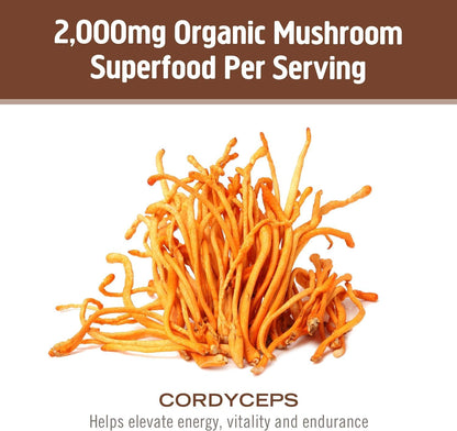 OM MUSHROOM SUPERFOOD Cordyceps Organic Mushroom Powder, 3.5 Ounce, 50 Servings, Energy, Power, Stamina and Endurance Support, Superfood Supplement for Sports Performance